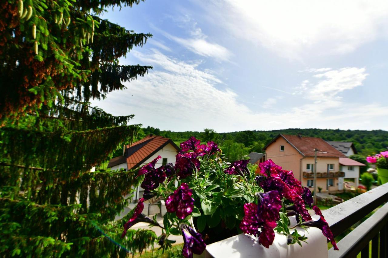 Studio Ivona Rakovica Exterior photo